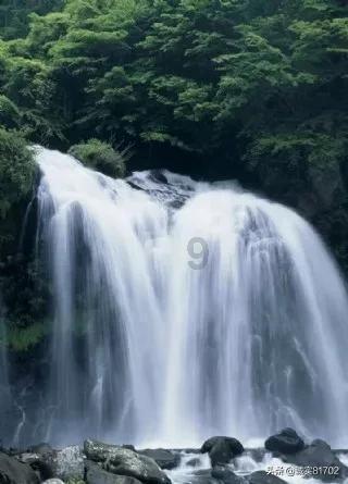 奥莉的夏威夷之旅